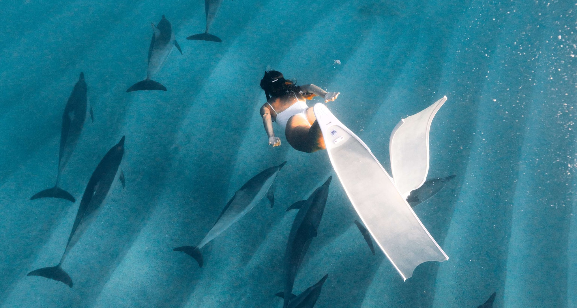 Radisson Blu Azuri Resort & Spa, Mauritius - Swimming with Doplhins