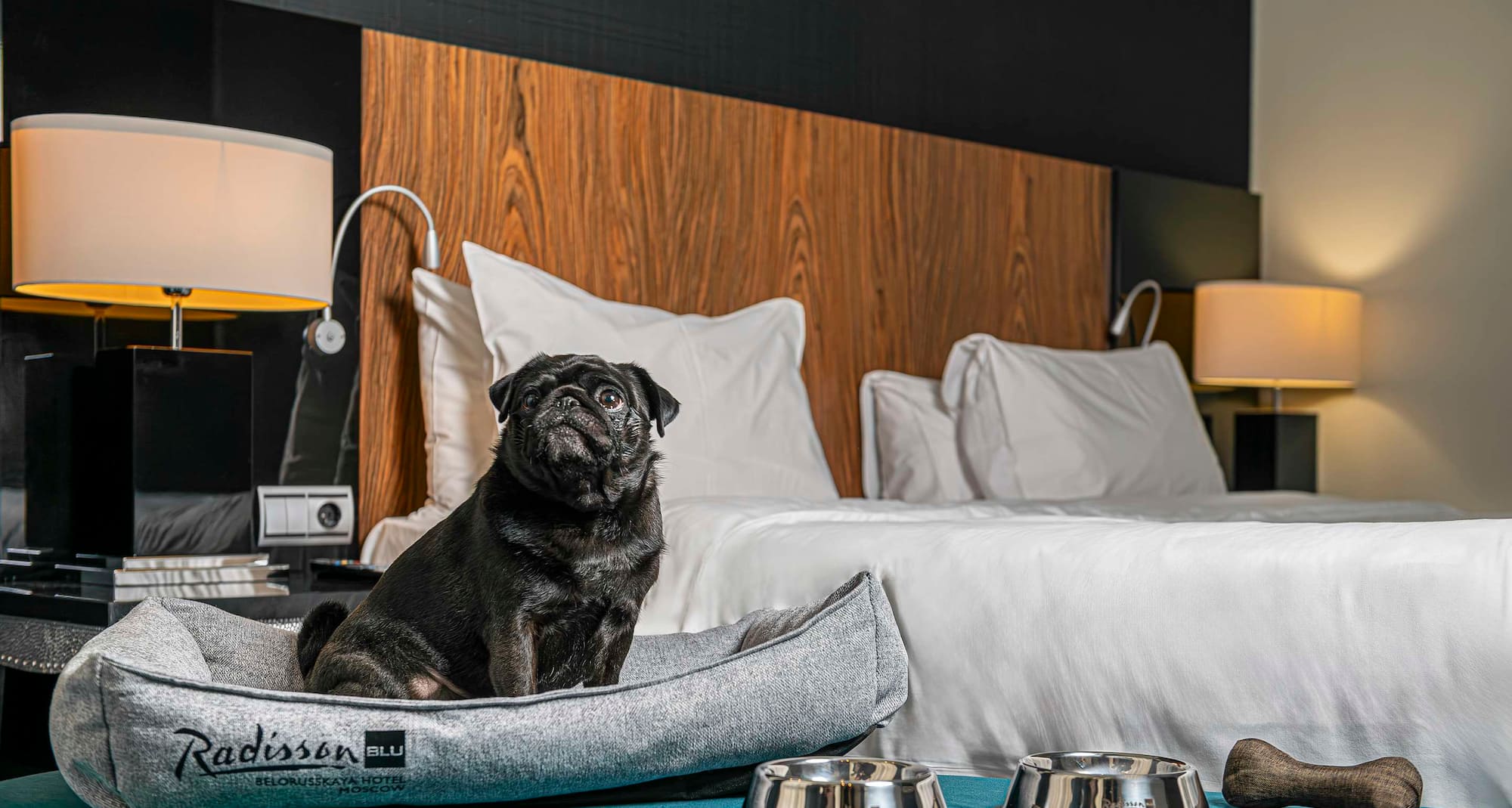 Radisson Blu Belorusskaya Hotel, Moscow - Radisson Pet Program