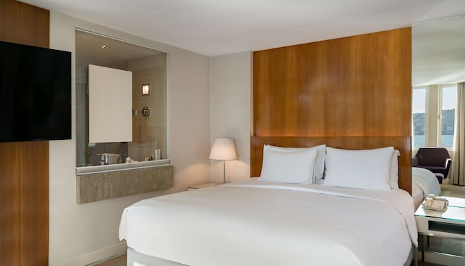 Radisson Blu Bosphorus Hotel, Istanbul - Junior Suite