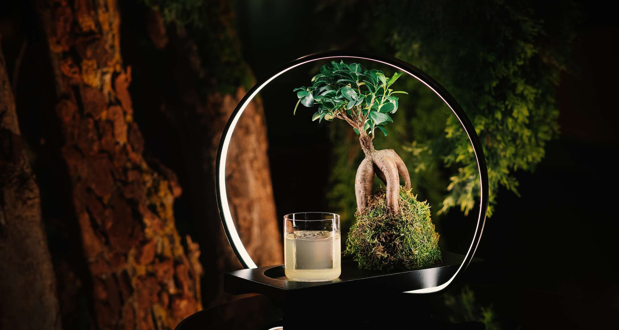 Radisson Blu Carlton Hotel, Bratislava - Mirror Bar - Lux Cocktail