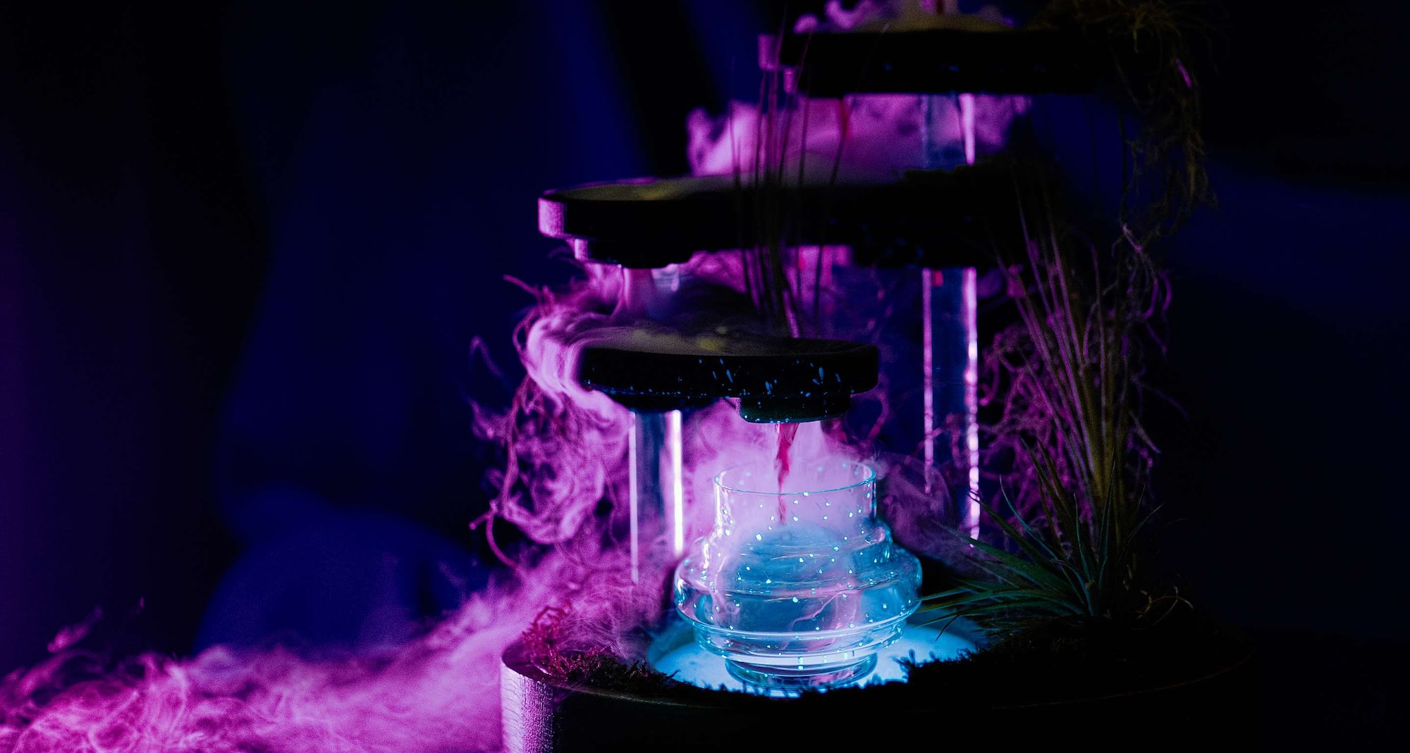 Radisson Blu Carlton Hotel, Bratislava - Mirror Bar - Pandora Cocktail