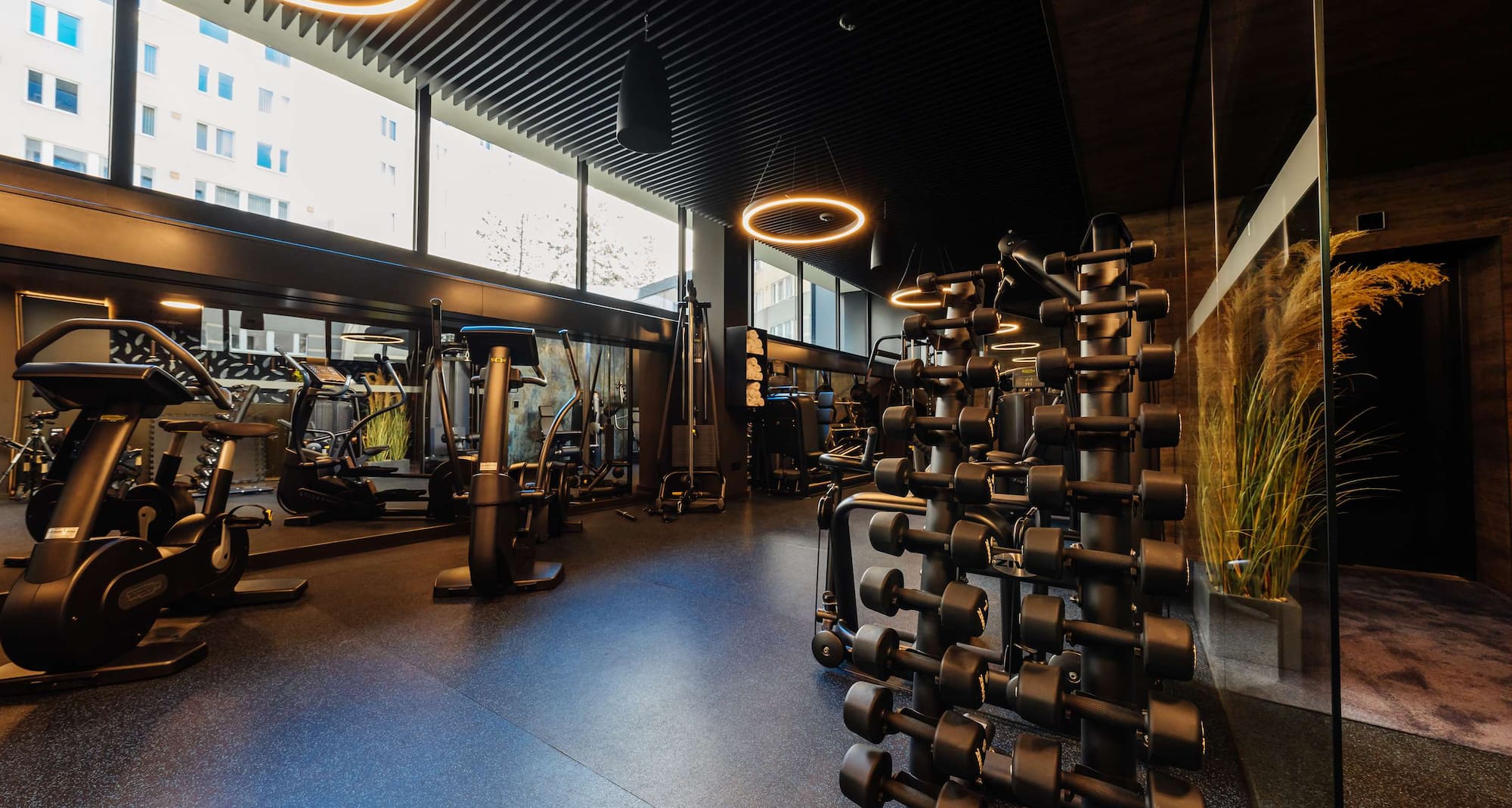 Radisson Blu Carlton Hotel, Bratislava - Wellness and fitness