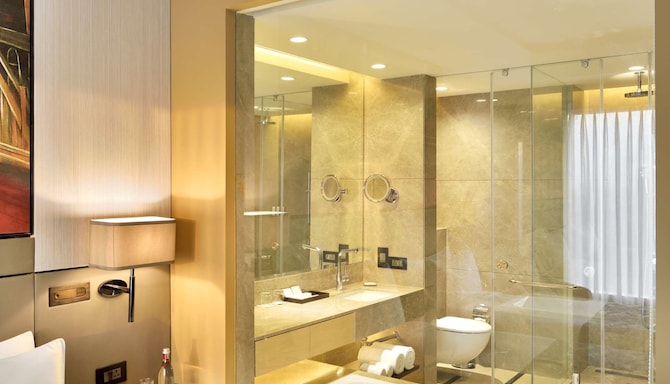 Radisson Blu Faridabad - Guest Room Bath