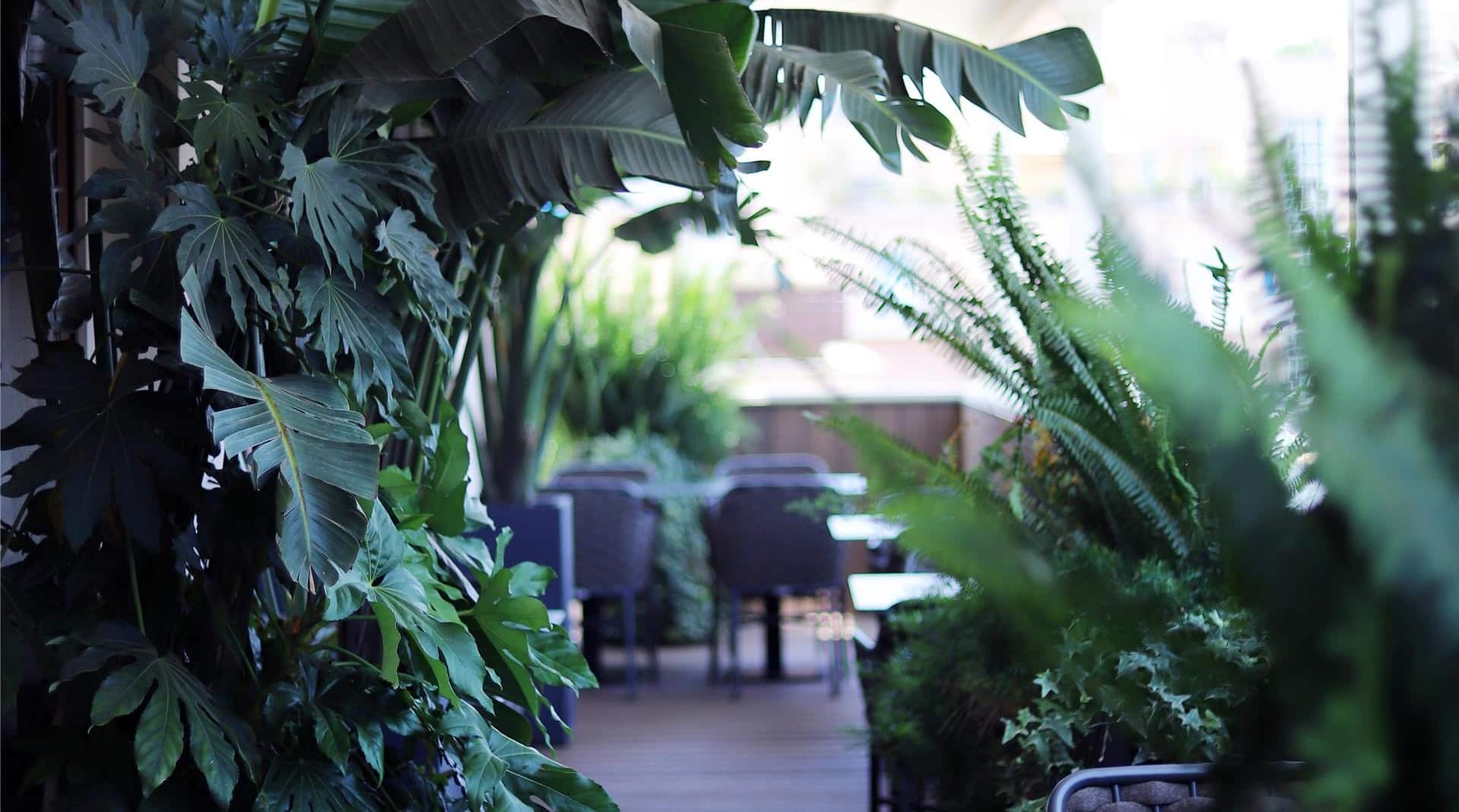 Radisson Blu GHR Hotel, Rome - Le Roof restaurant terrace