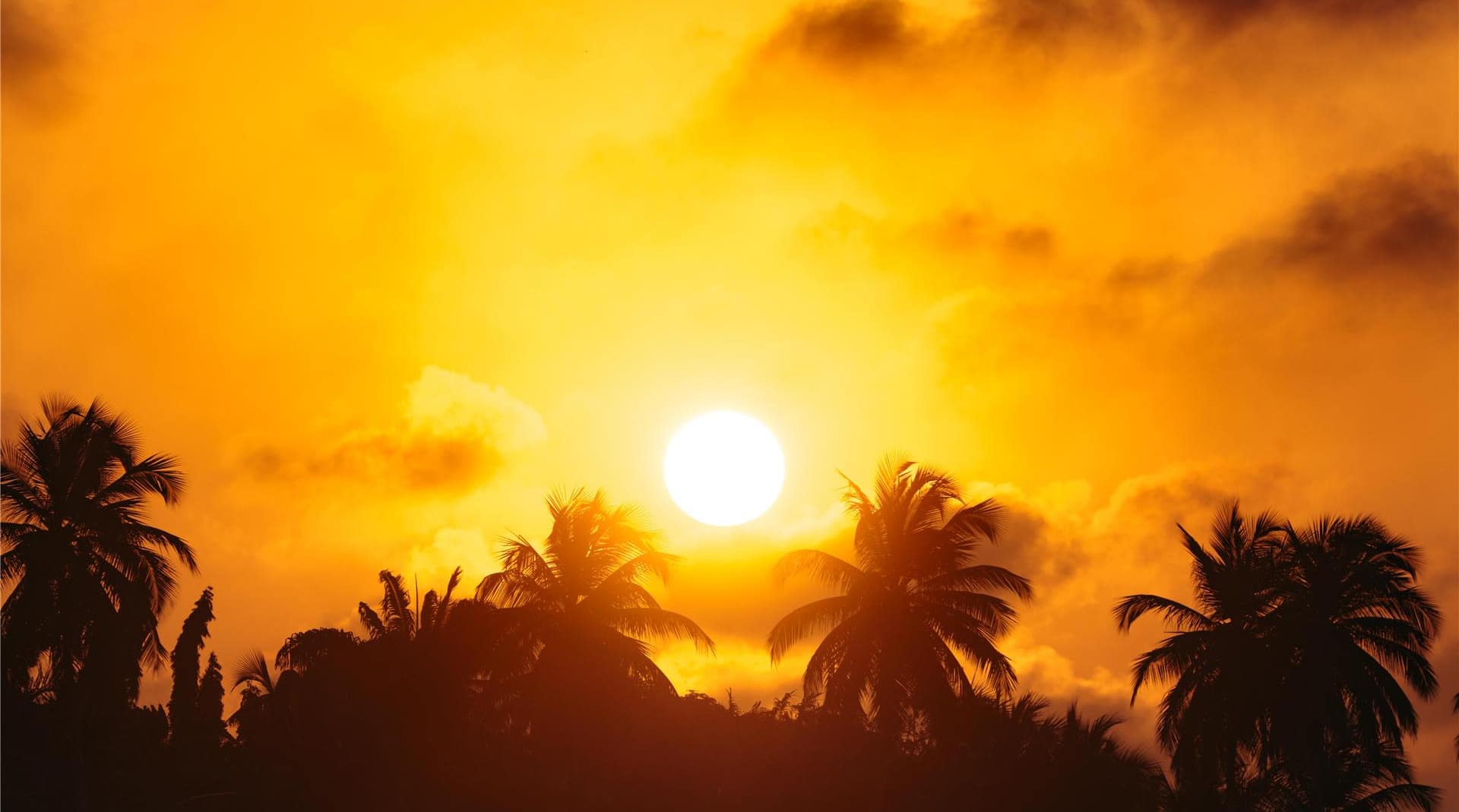 Radisson Blu Hotel, Abidjan Airport - Lifestyle