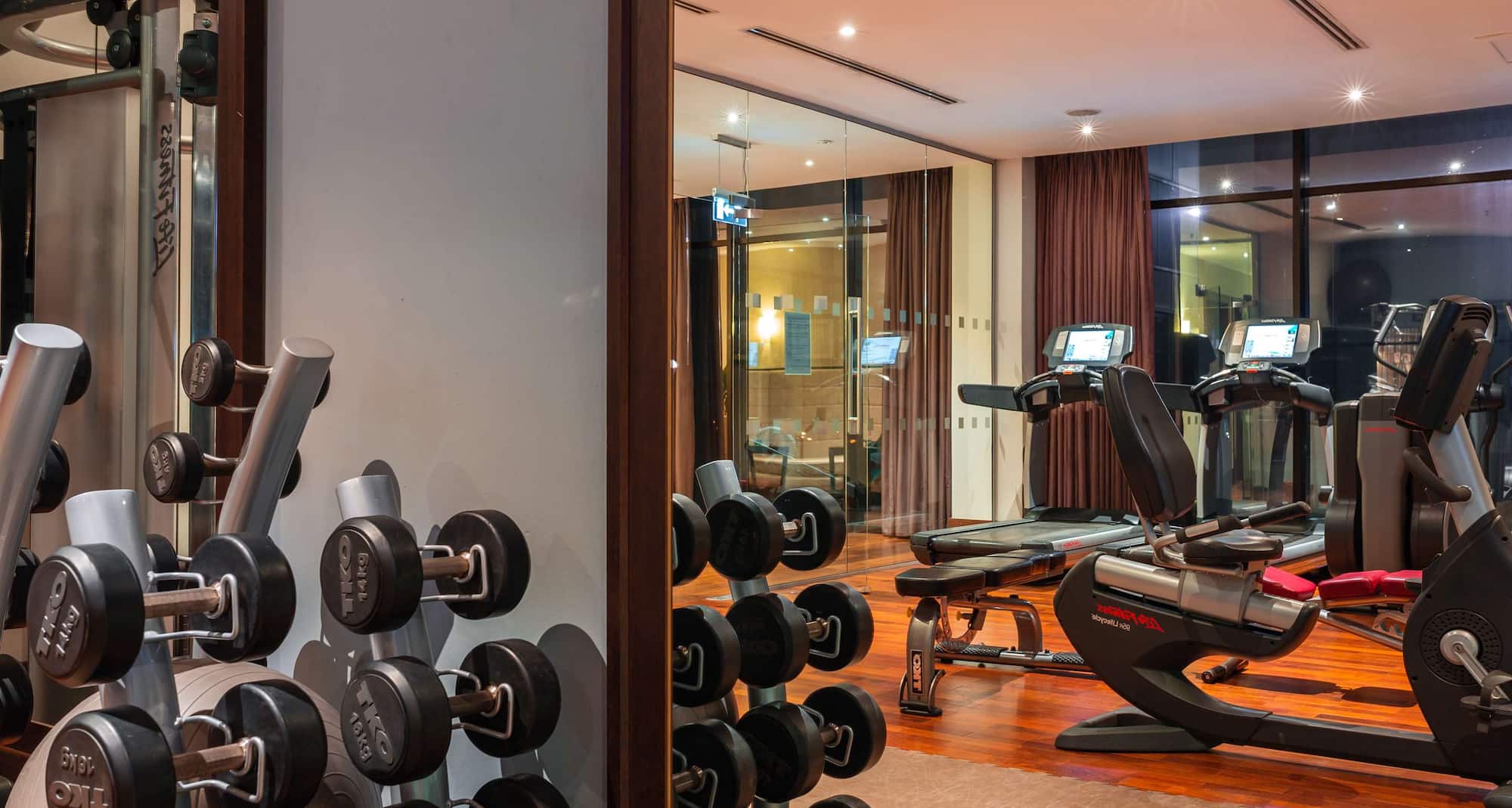 Radisson Blu Hotel, Addis Ababa - Gym