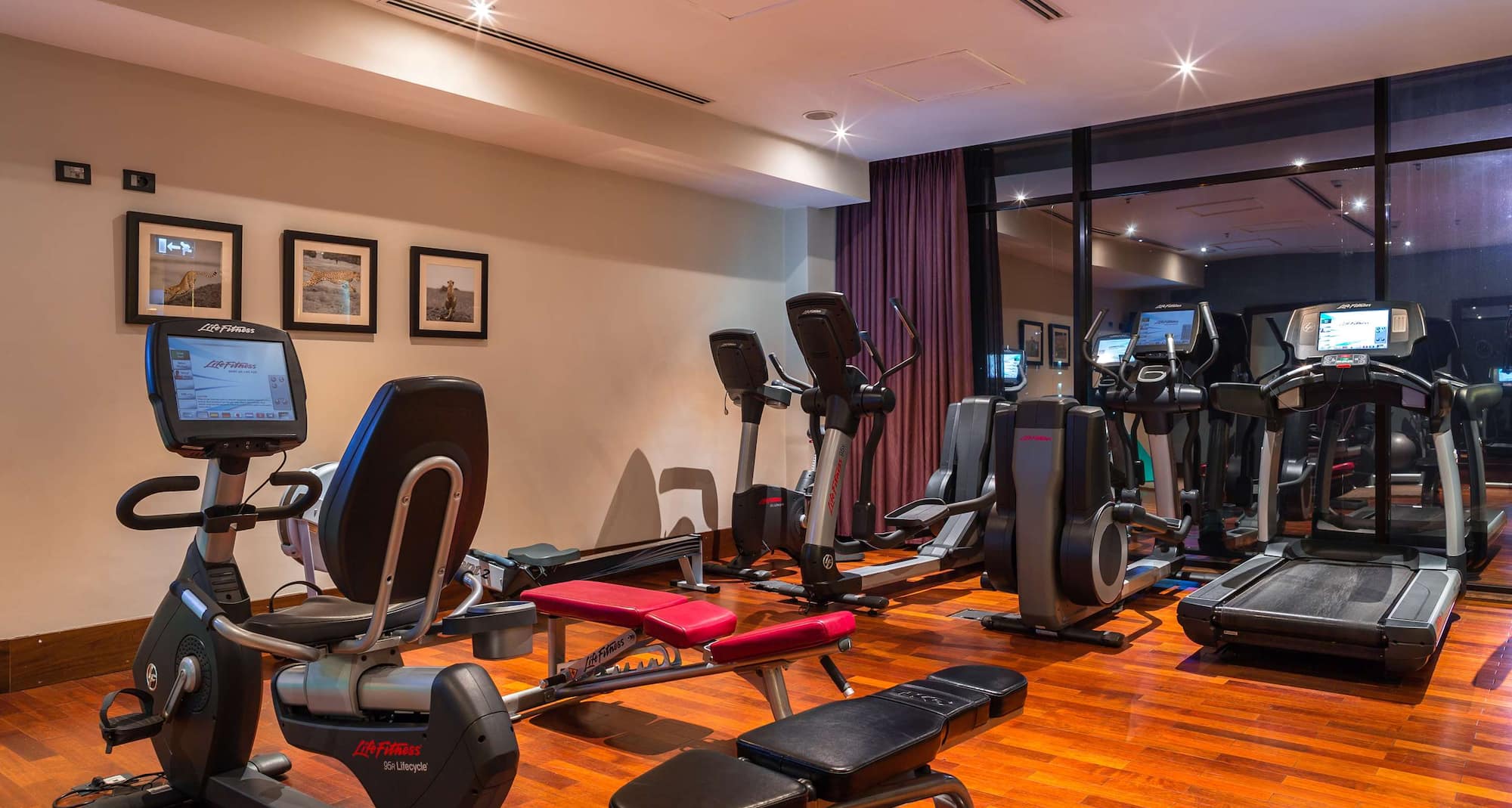 Radisson Blu Hotel, Addis Ababa - Gym