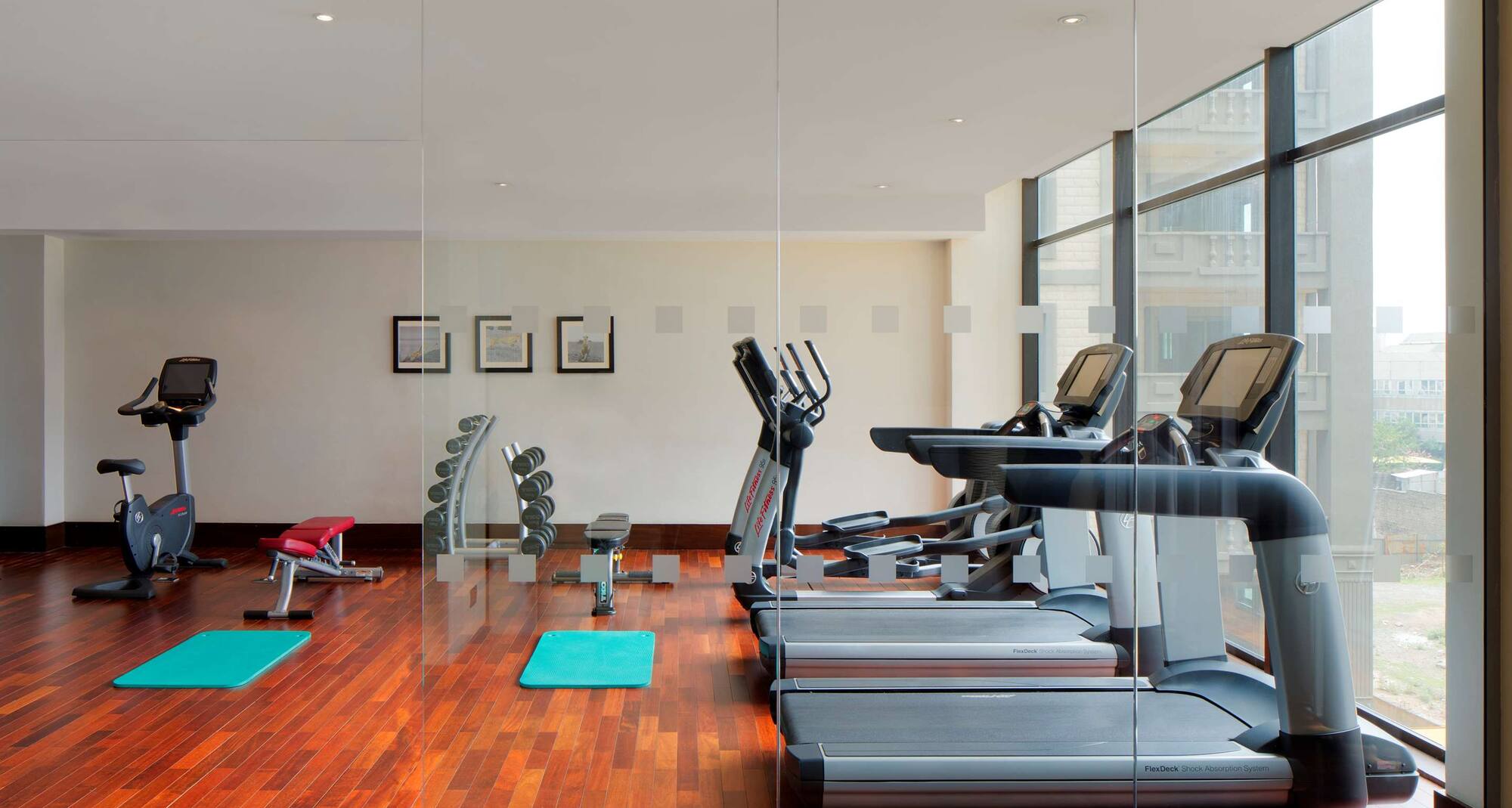 Radisson Blu Hotel, Addis Ababa - Gym