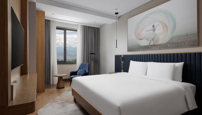 Radisson Blu Hotel, Almaty Airport - Люкс