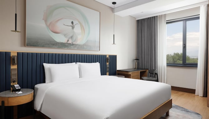 Radisson Blu Hotel, Almaty Airport - Люкс