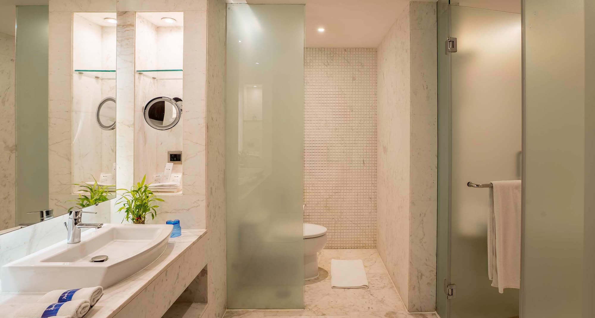 Radisson Blu Hotel, Amritsar - Superior Room