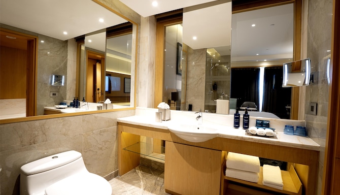 Radisson Blu Hotel, Amritsar - Business Classroom
