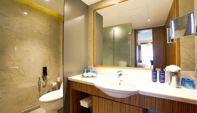 Radisson Blu Hotel, Amritsar - Junior Suite