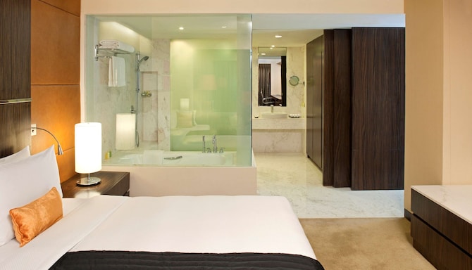 Radisson Blu Hotel Amritsar - Studio Suite