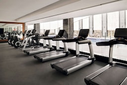 Radisson Blu Hotel and Convention Centre, Riyadh Minhal - Health Club Fitness Center
