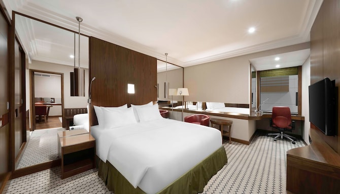 Radisson Blu Hotel and Convention Centre, Riyadh Minhal - جناح