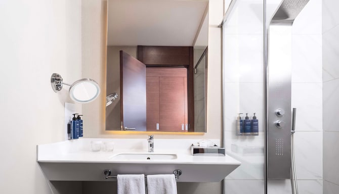 Radisson Blu Hotel, Ankara Cankaya - Guest room bath