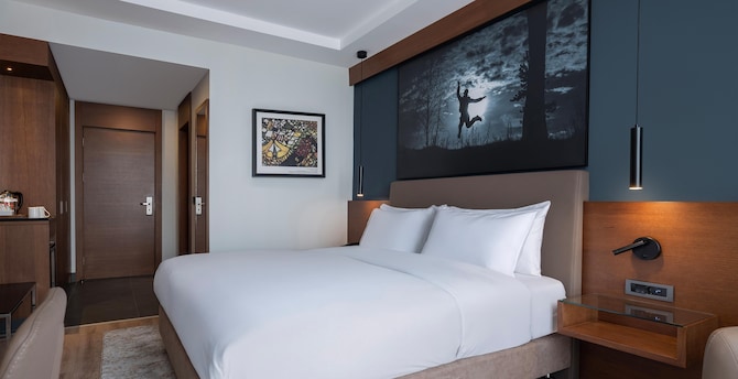 Radisson Blu Hotel, Ankara Cankaya - Superior Room
