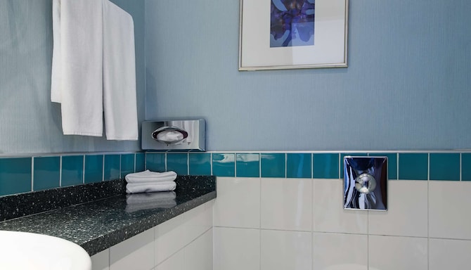 Radisson Blu Hotel, Ankara - Guest Room bathroom
