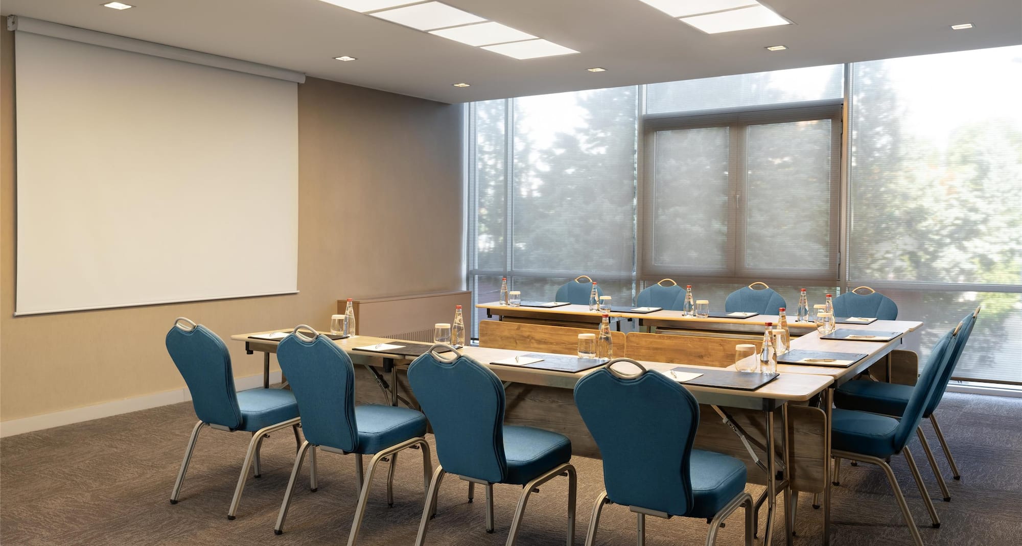 Radisson Blu Hotel, Ankara - Meeting Room