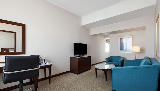 Radisson Blu Hotel, Ankara - One Bedroom Suite living room