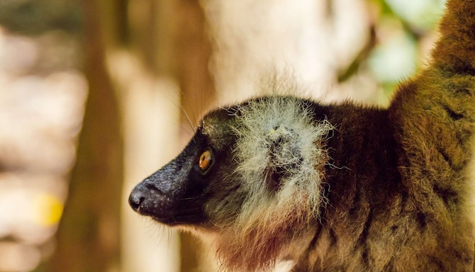 Radisson Blu Hotel, Antananarivo Waterfront - Nosy Be - MADAGASCAR