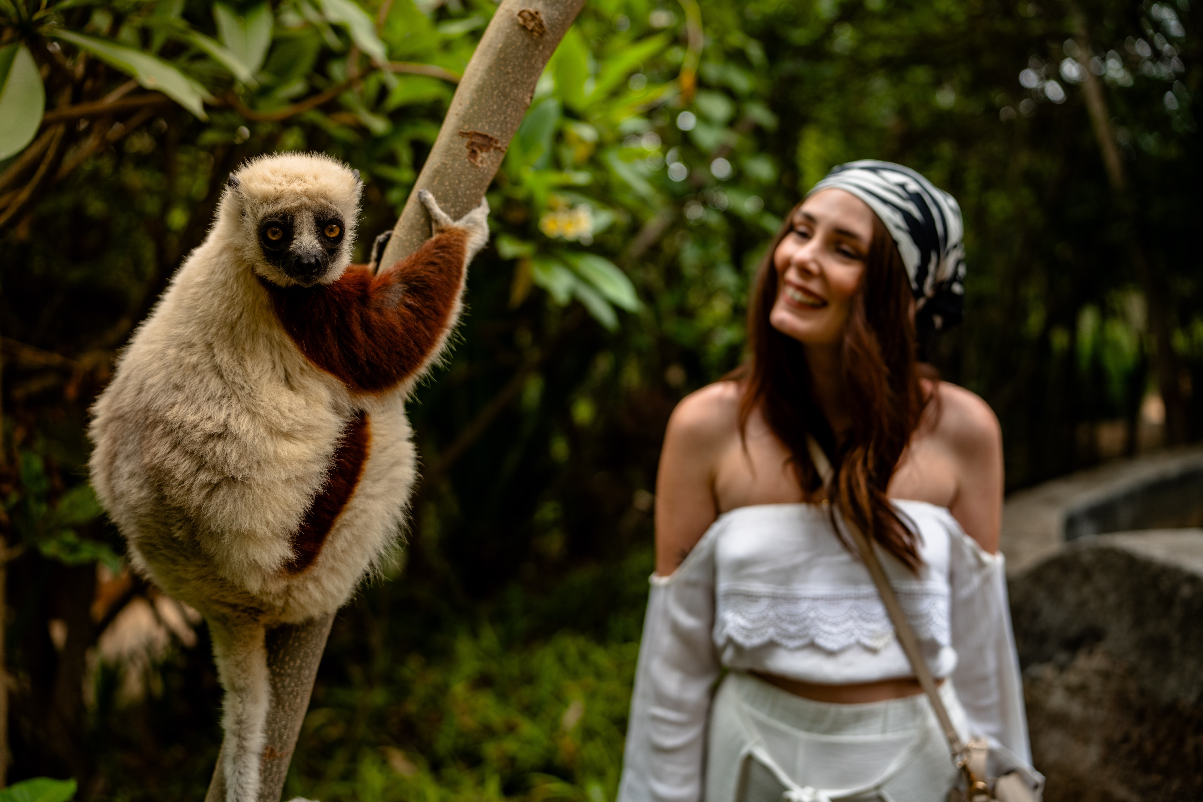 Radisson Blu Hotel, Antananarivo Waterfront - Radisson Blu Hotel Antananarivo Waterfront