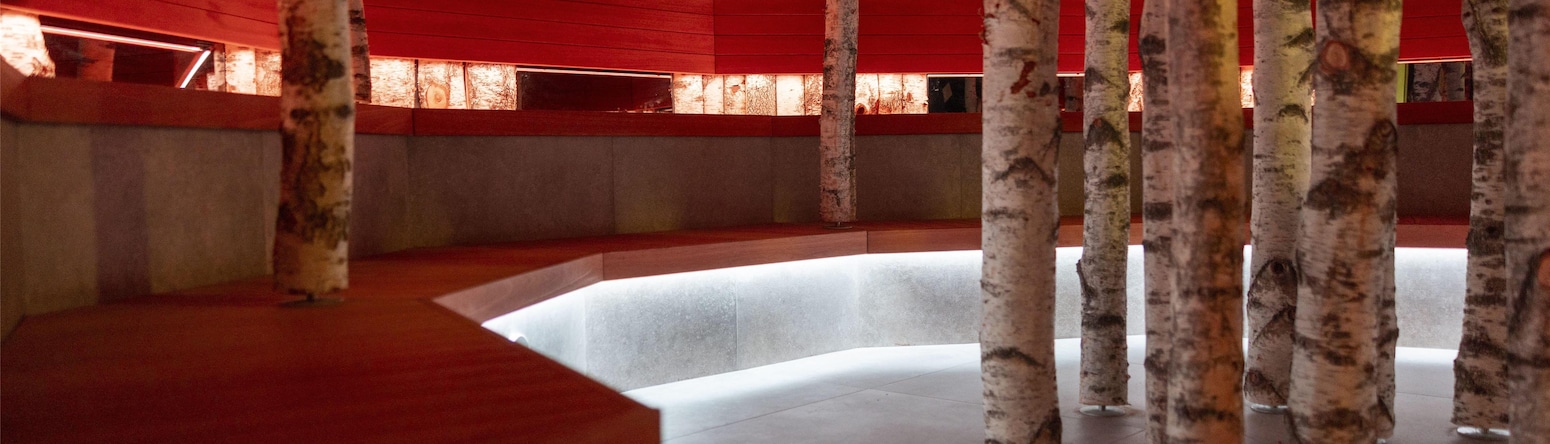 Radisson Blu Hotel, Bergamo ChorusLife - Chorus Spa