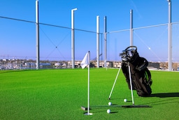 Radisson Blu Hotel, Bordeaux - Outdoor putting green