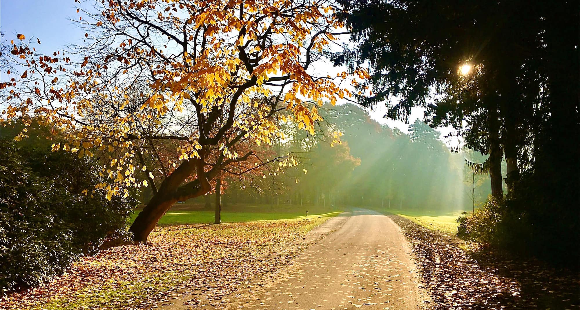 Radisson Blu Hotel, Bremen - Central Park
