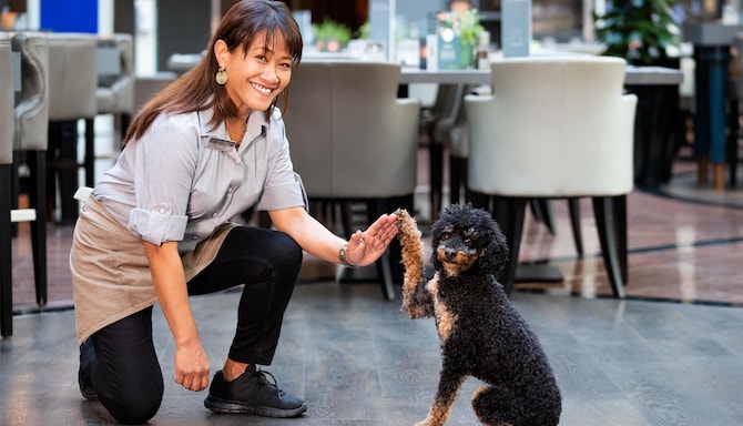 Radisson Blu Hotel, Bremen - Pets welcome