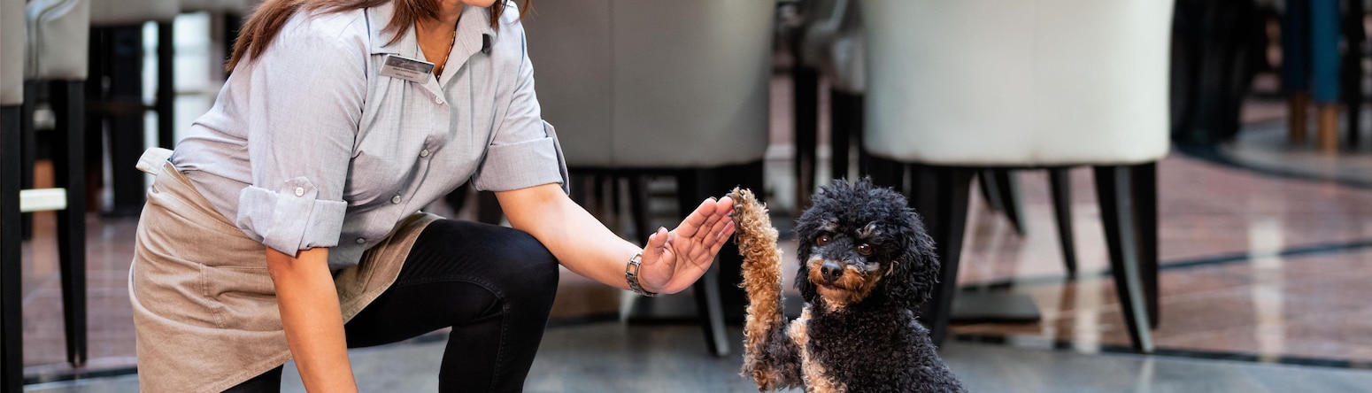 Radisson Blu Hotel, Bremen - Pets welcome