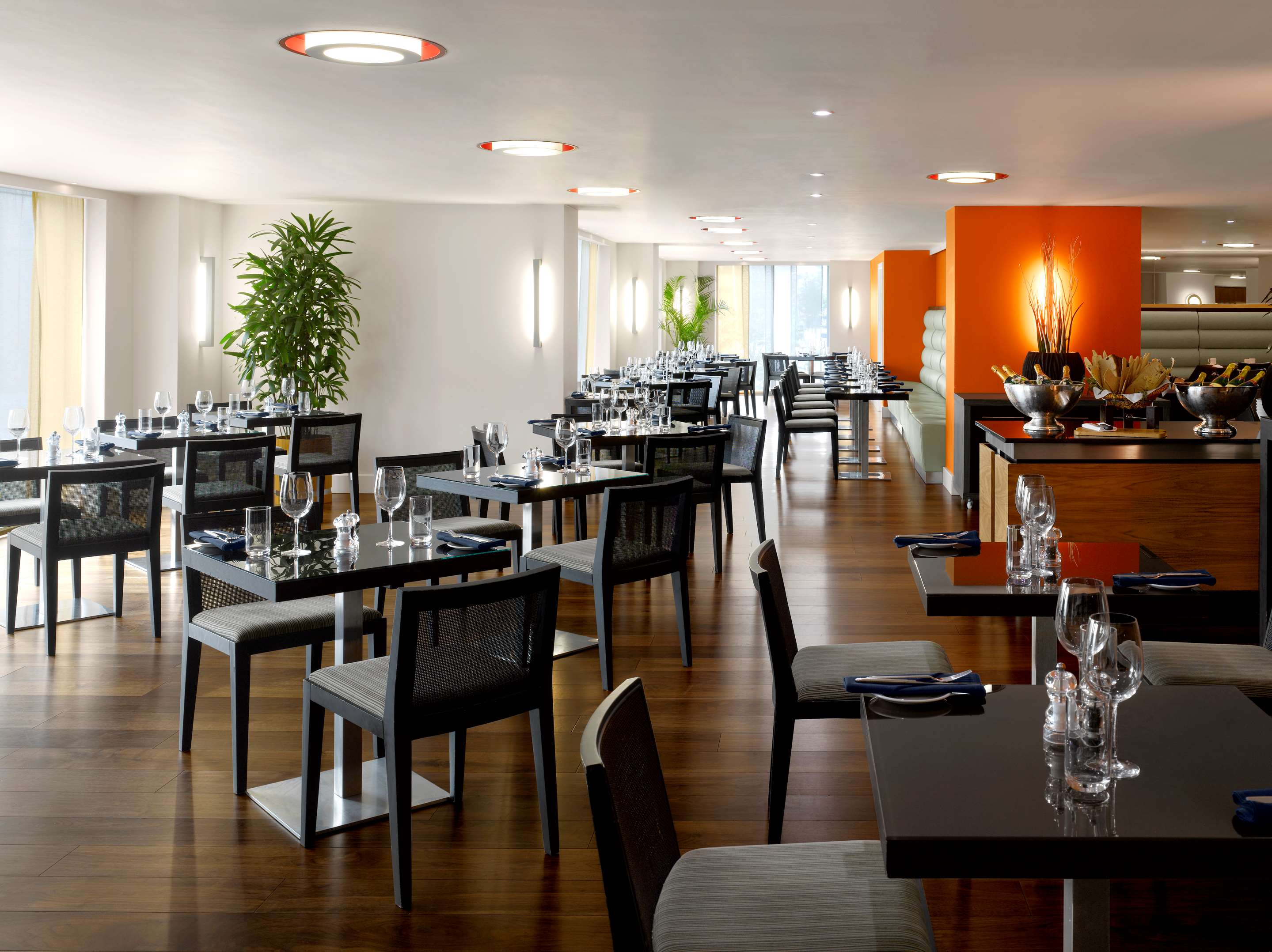 Rendez-nous visite au Glas Bar & Lounge à Cardiff | Radisson Blu