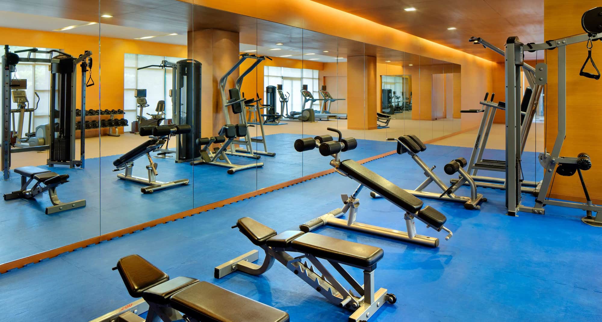 Radisson Blu Hotel, Cebu - Gym