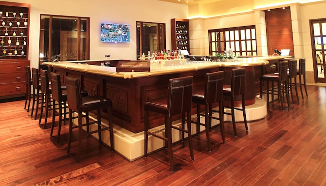 Radisson Blu Hotel Chennai City Centre - Winchester Bar