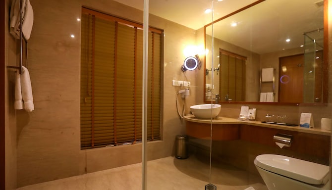 Radisson Blu Hotel Chennai City Centre - Bathroom