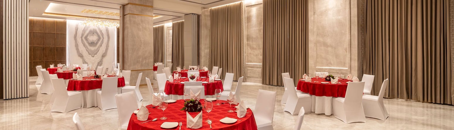 Radisson Blu Hotel, Chennai City Centre - Banquet Hall