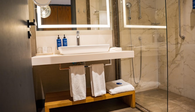 Radisson Blu Hotel & Conference Center, Niamey - Standard Room River View bath
