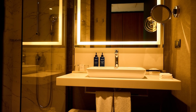 Radisson Blu Hotel & Conference Center, Niamey - Standard Room City View bath
