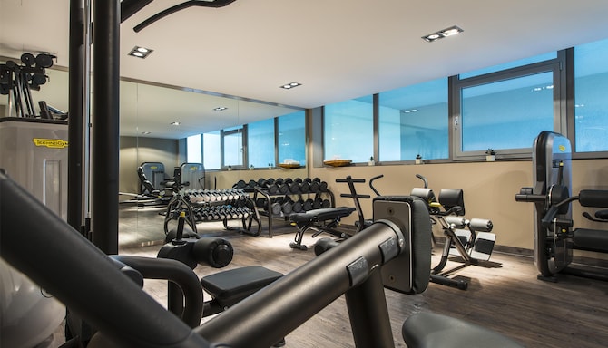 Radisson Blu Hotel and Conference Centre, Salzburg - Gym