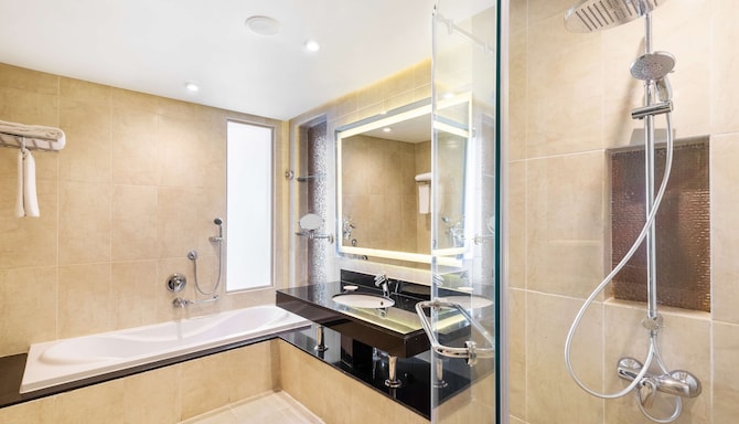 Radisson Blu Hotel & Convention Center, Alexandria - Guest room bathroom