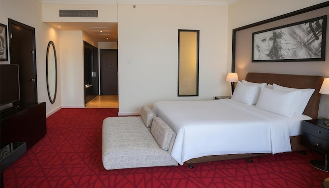 Radisson Blu Hotel & Convention Center, Alexandria - Guest Room