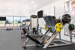 Radisson Blu Hotel, Alexandria - Gym