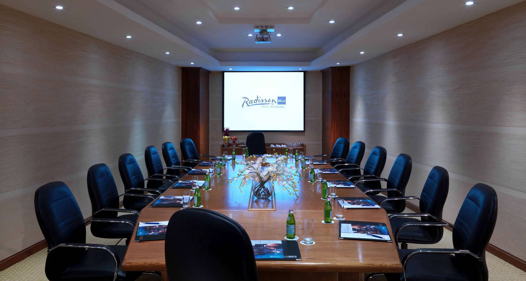 فندق راديسون بلو، الإسكندرية - قاعة اجتماعات الإسكندرية