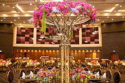 Radisson Blu Hotel, Alexandria - Symphony Balo Salonu