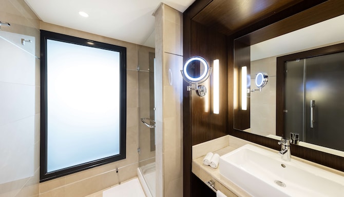 Radisson Blu Hotel & Convention Center, Tunis - Executive Room & Superior Rooms bathroom