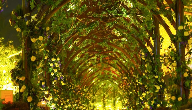 Radisson Blu Hotel, Dhaka Water Garden - Wedding