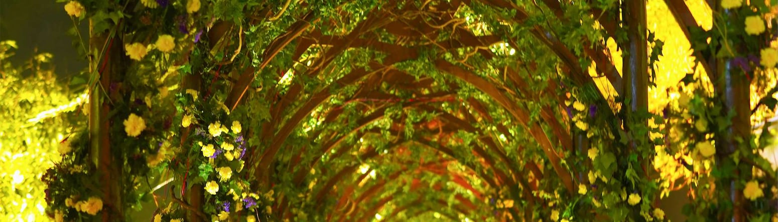 Radisson Blu Hotel, Dhaka Water Garden - Wedding