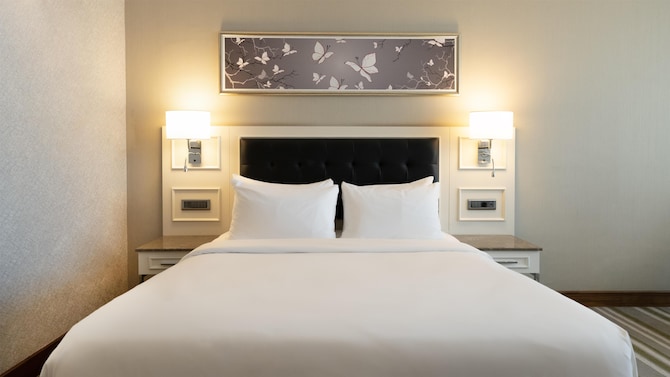 Radisson Blu Hotel, Diyarbakir - Standard Room
