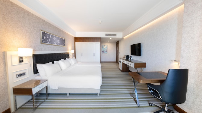 Radisson Blu Hotel, Diyarbakir - Superior Room